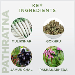 Oham Shoham Ayurveda’S OS PATHRATNA TABLET For Kidney stone, Gallbladder stone and other kidney related dieases. Combo (Pack of 2)