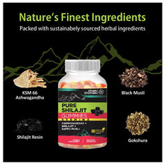 Oham Shoham Pure Shilajit Gummies