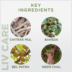 Oham Shoham Ayurveda’S Os Live Care Syrup For Cirrhosis OD liver, Fatty Liver,Hepatomegaly and Hepatitis.